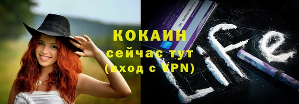 сатива Костерёво