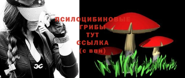 тгк Корсаков