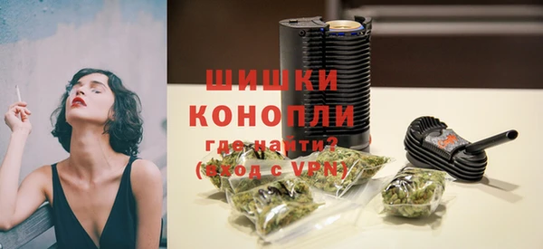 сатива Костерёво