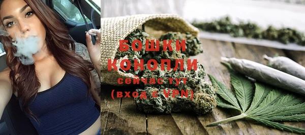 сатива Костерёво