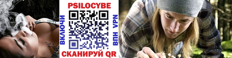 Псилоцибиновые грибы Psilocybe  Купить закладки  Мамадыш 